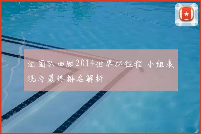 法国队回顾2014世界杯征程 小组表现与最终排名解析