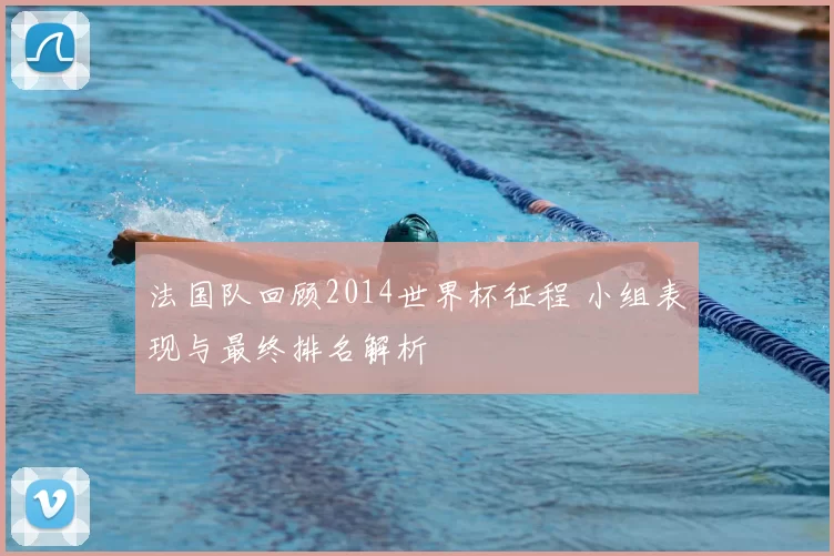 法国队回顾2014世界杯征程 小组表现与最终排名解析