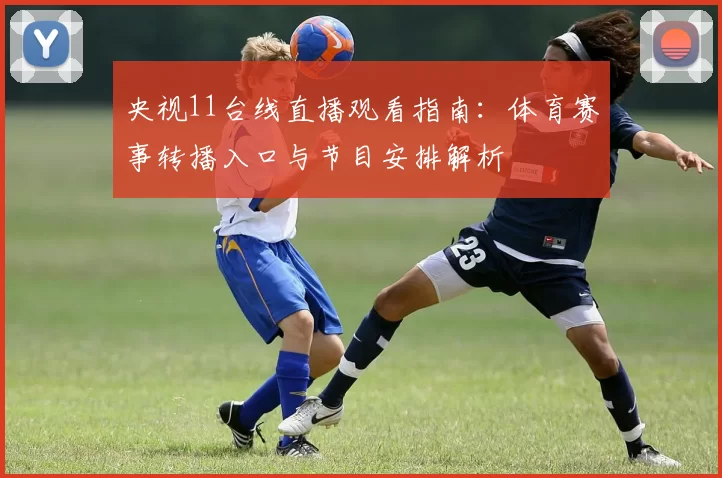 央视11台线直播观看指南：体育赛事转播入口与节目安排解析