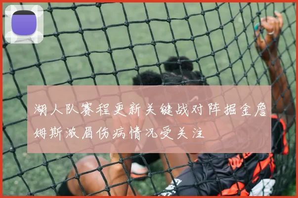 湖人队赛程更新关键战对阵掘金詹姆斯浓眉伤病情况受关注