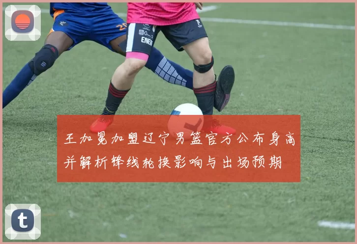 王加冕加盟辽宁男篮官方公布身高并解析锋线轮换影响与出场预期